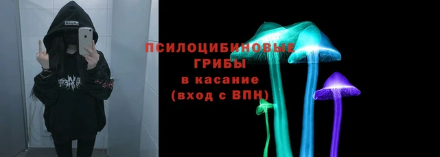 jwh Абаза