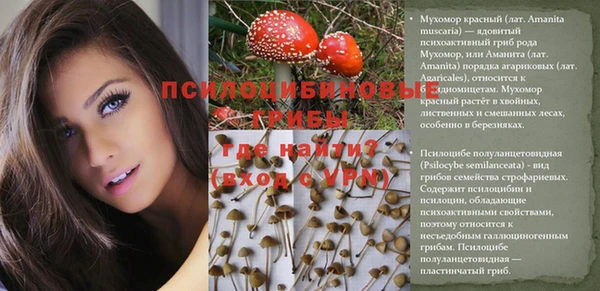 хмурый Семёнов