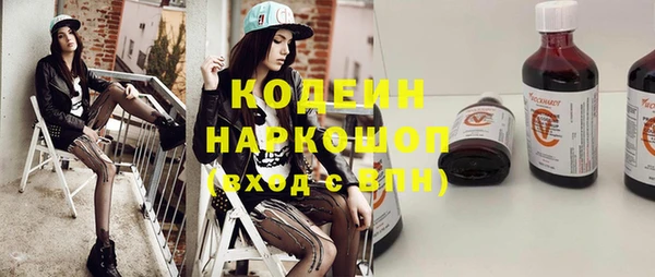 стаф Гатчина