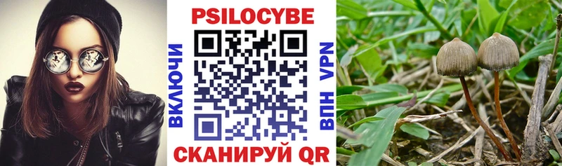 наркотики  Гагарин  Галлюциногенные грибы Magic Shrooms 