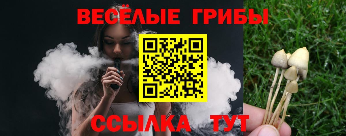 Галлюциногенные грибы Magic Shrooms Гагарин