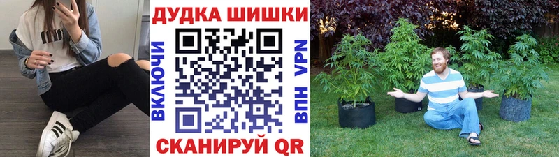 блэк спрут вход  Гагарин  Бошки Шишки OG Kush 